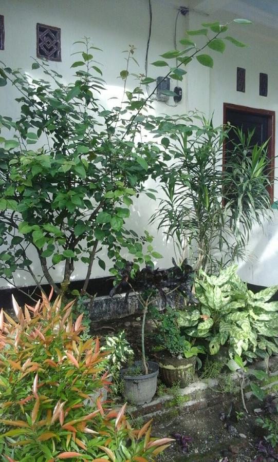 Pedek Homestay Прая Екстериор снимка